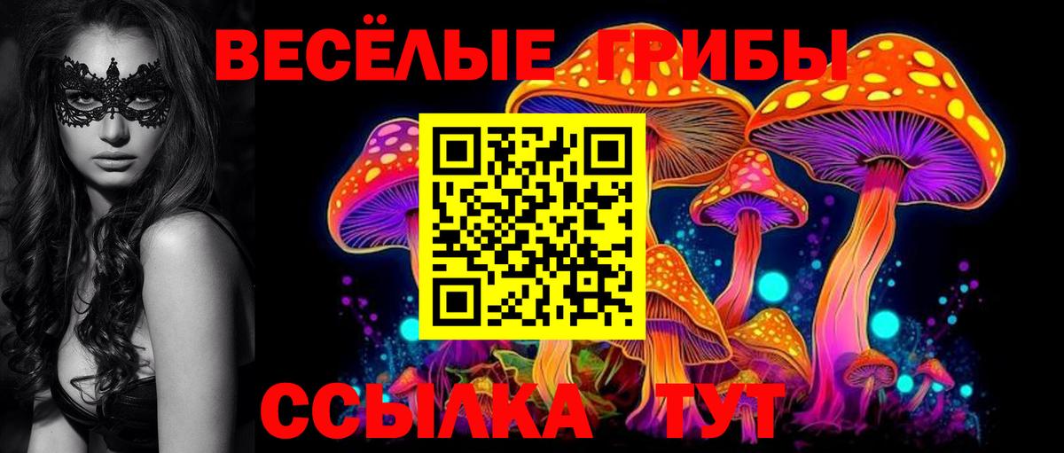 Псилоцибиновые грибы MAGIC MUSHROOMS  Вход с VPN  продажа наркотиков  Отрадное 